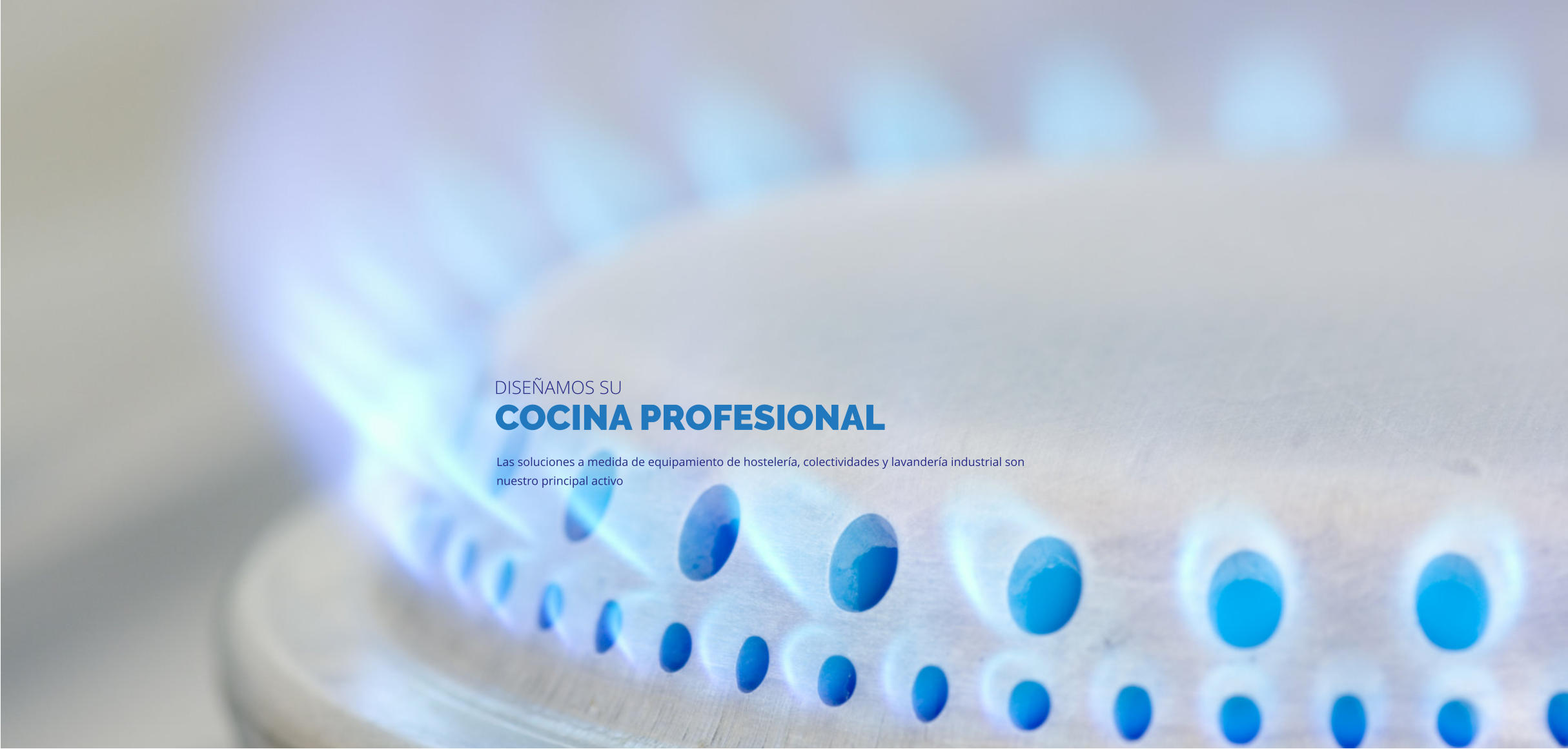 COCINA PROFESIONAL Las soluciones a medida de equipamiento de hostelería, colectividades y lavandería industrial son nuestro principal activo DISEÑAMOS SU